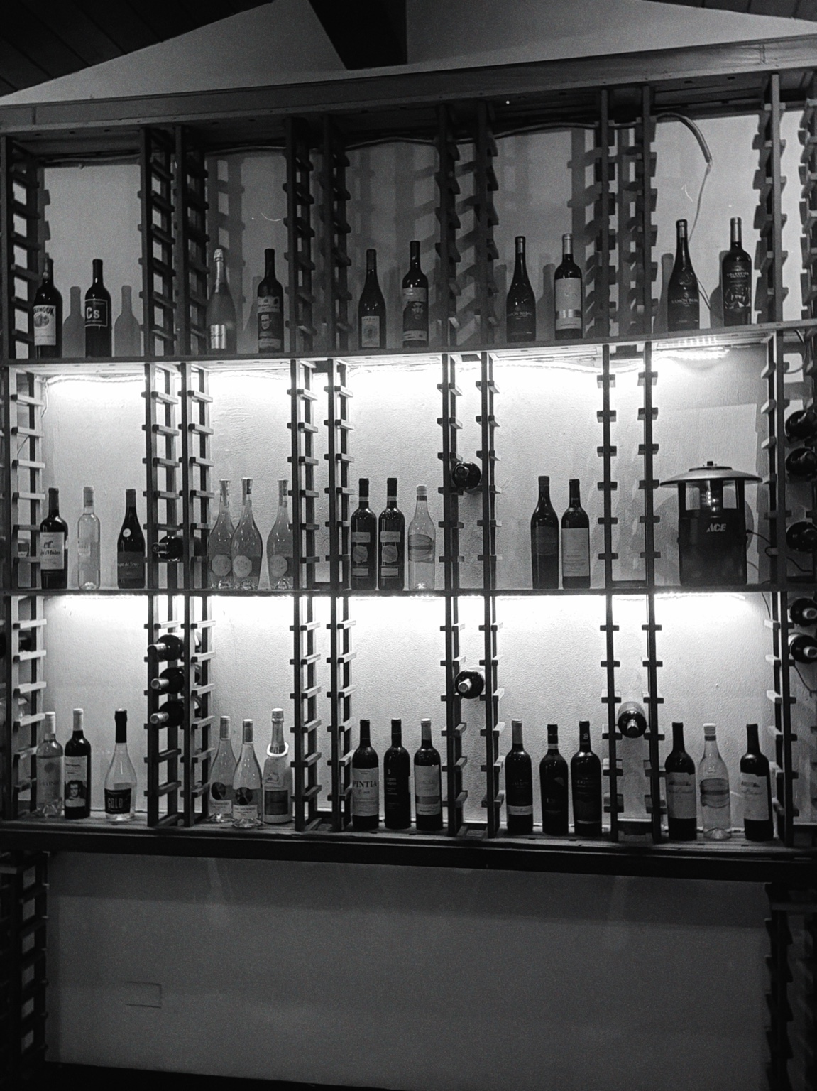 Botellas ordenadas en una bodega