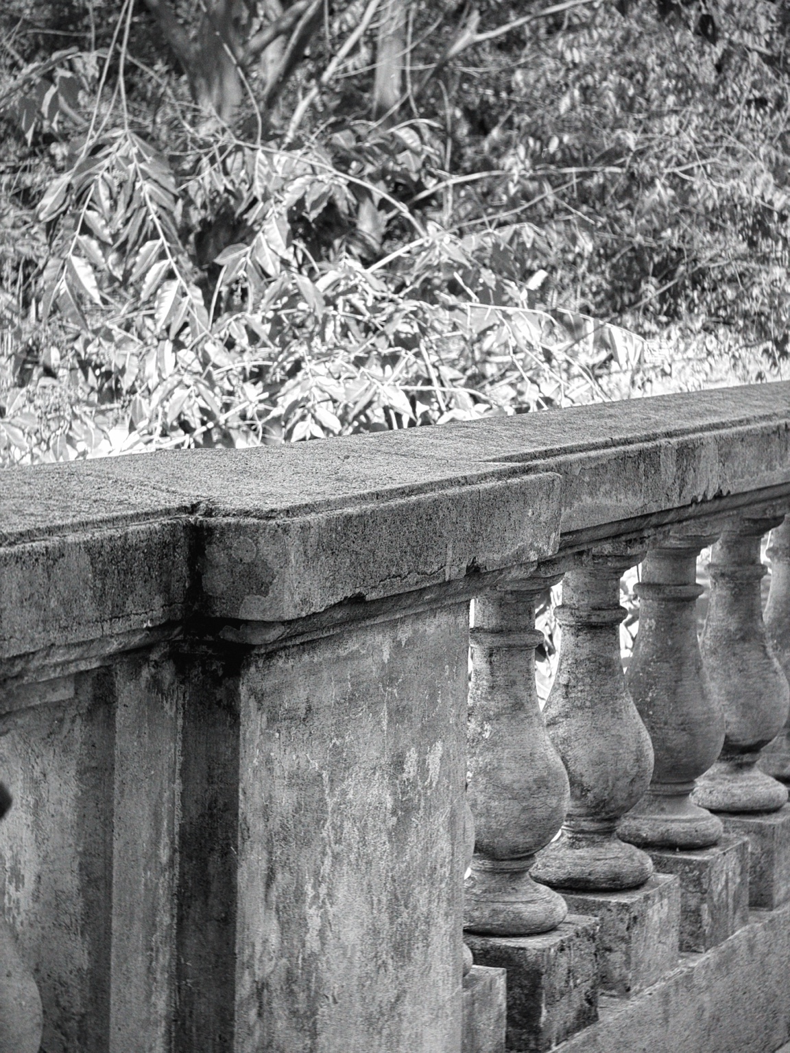 Balustrada de piedra entre vegetación