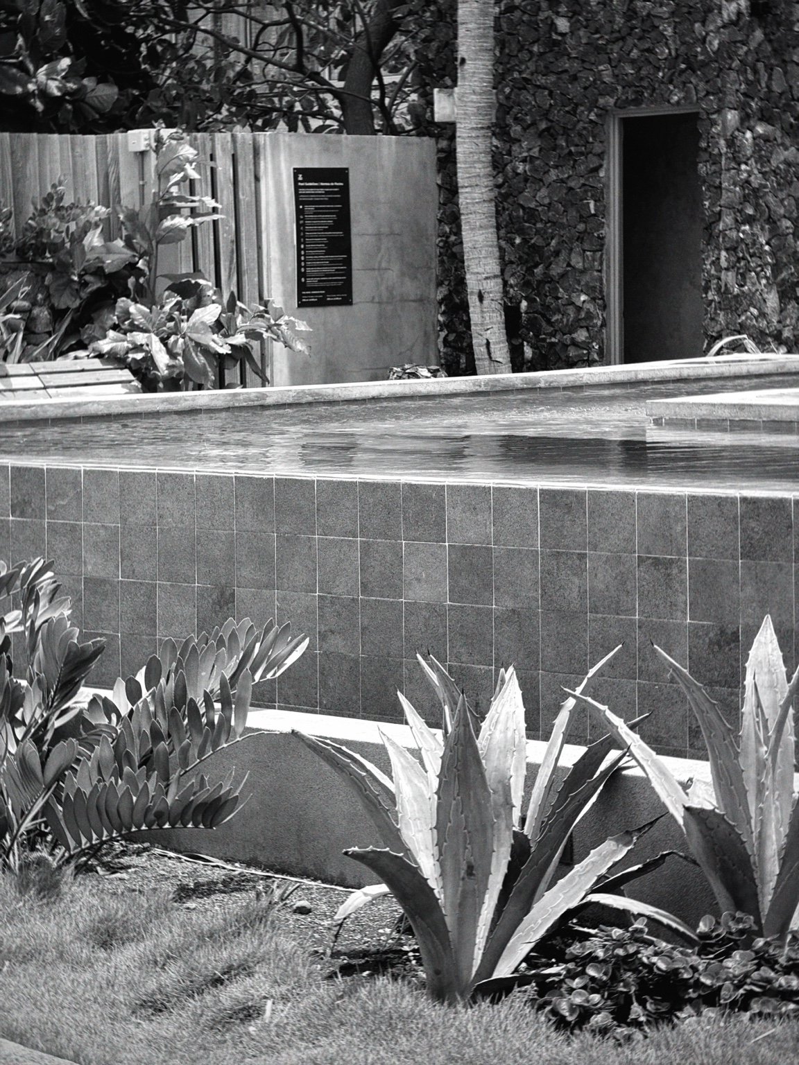 Piscina, agaves y arquitectura de piedra